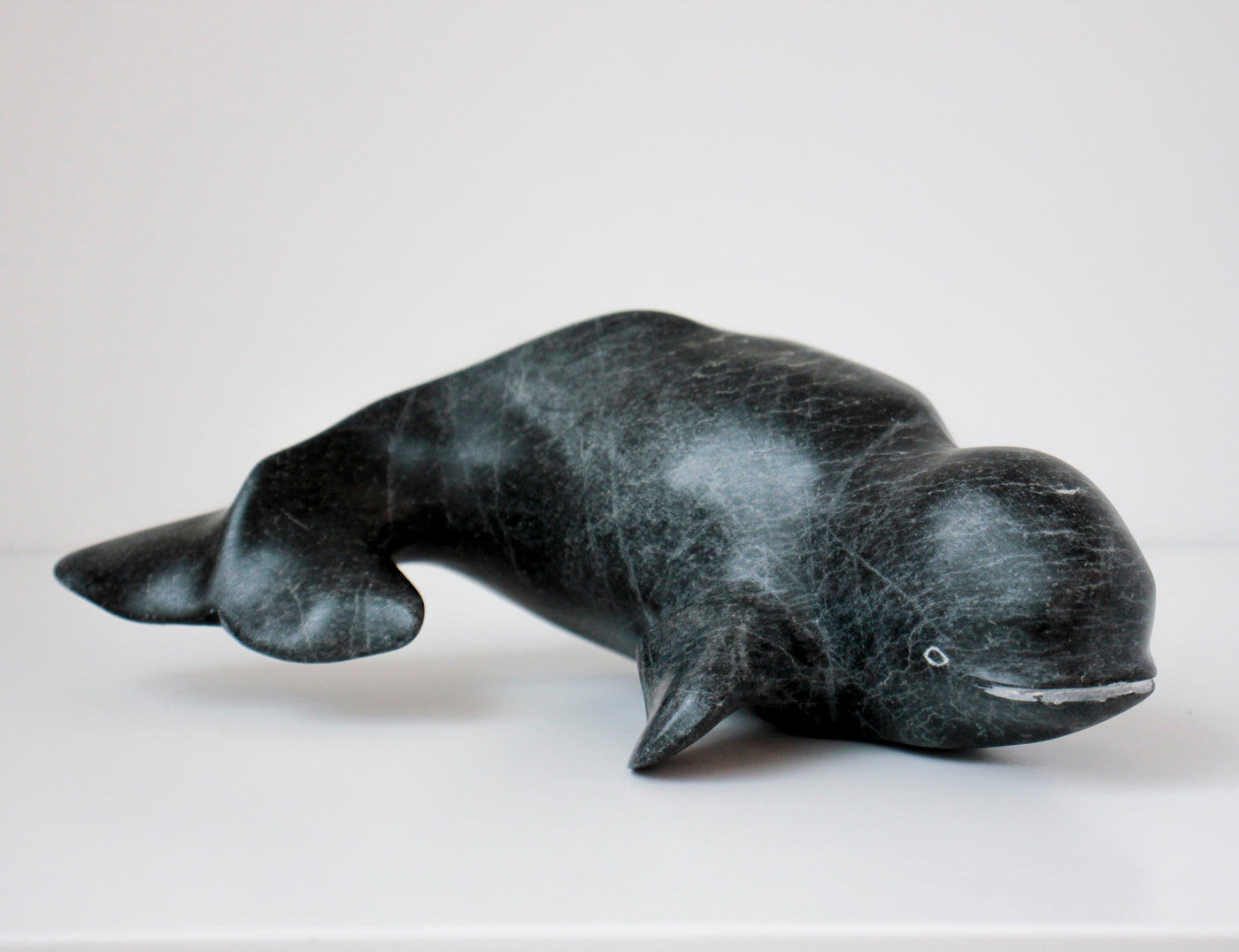 Sans Titre (Beluga)
