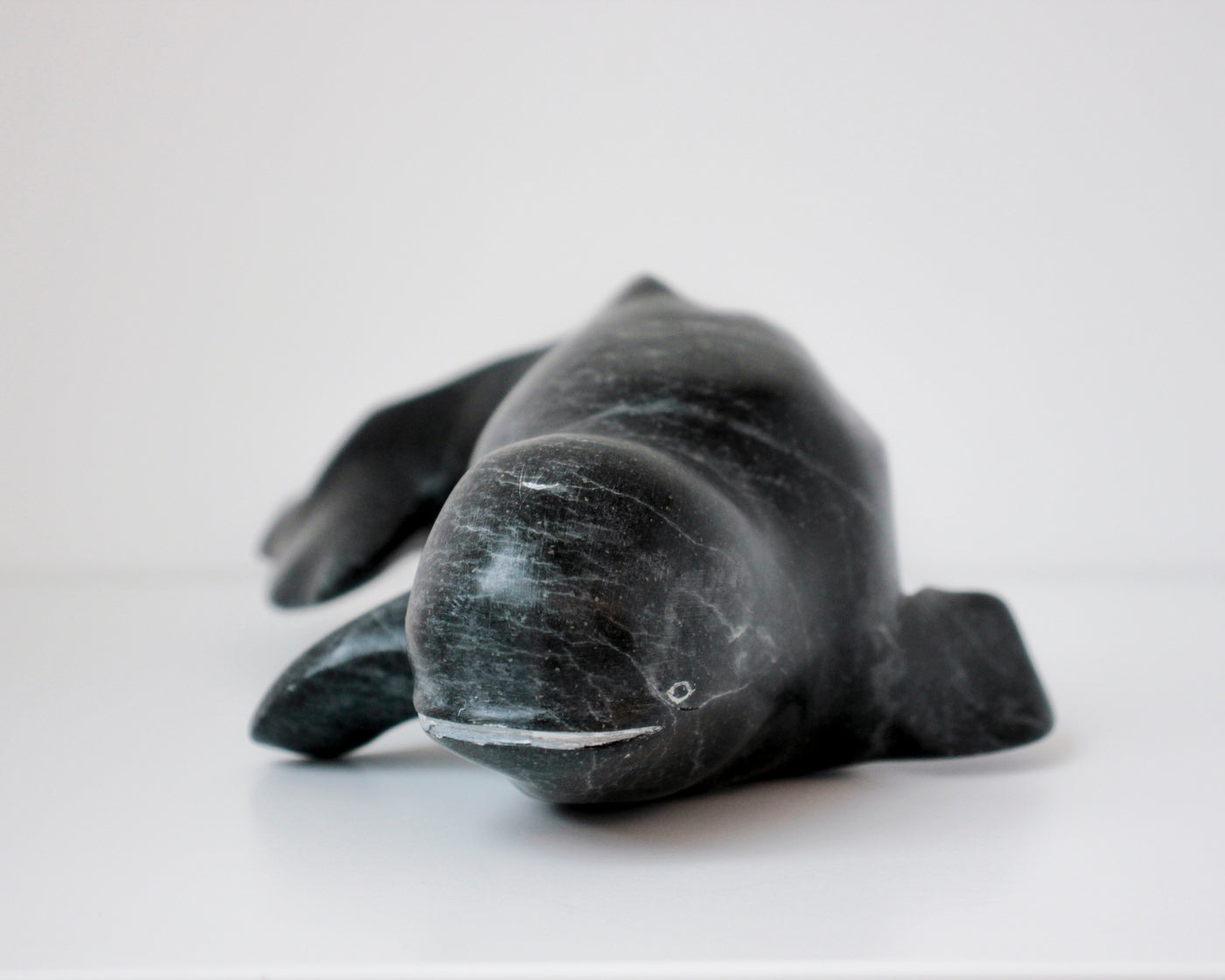 Sans Titre (Beluga)