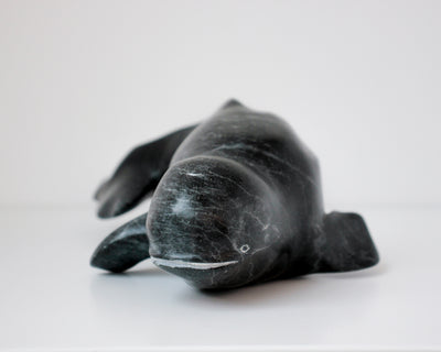 Sans Titre (Beluga)