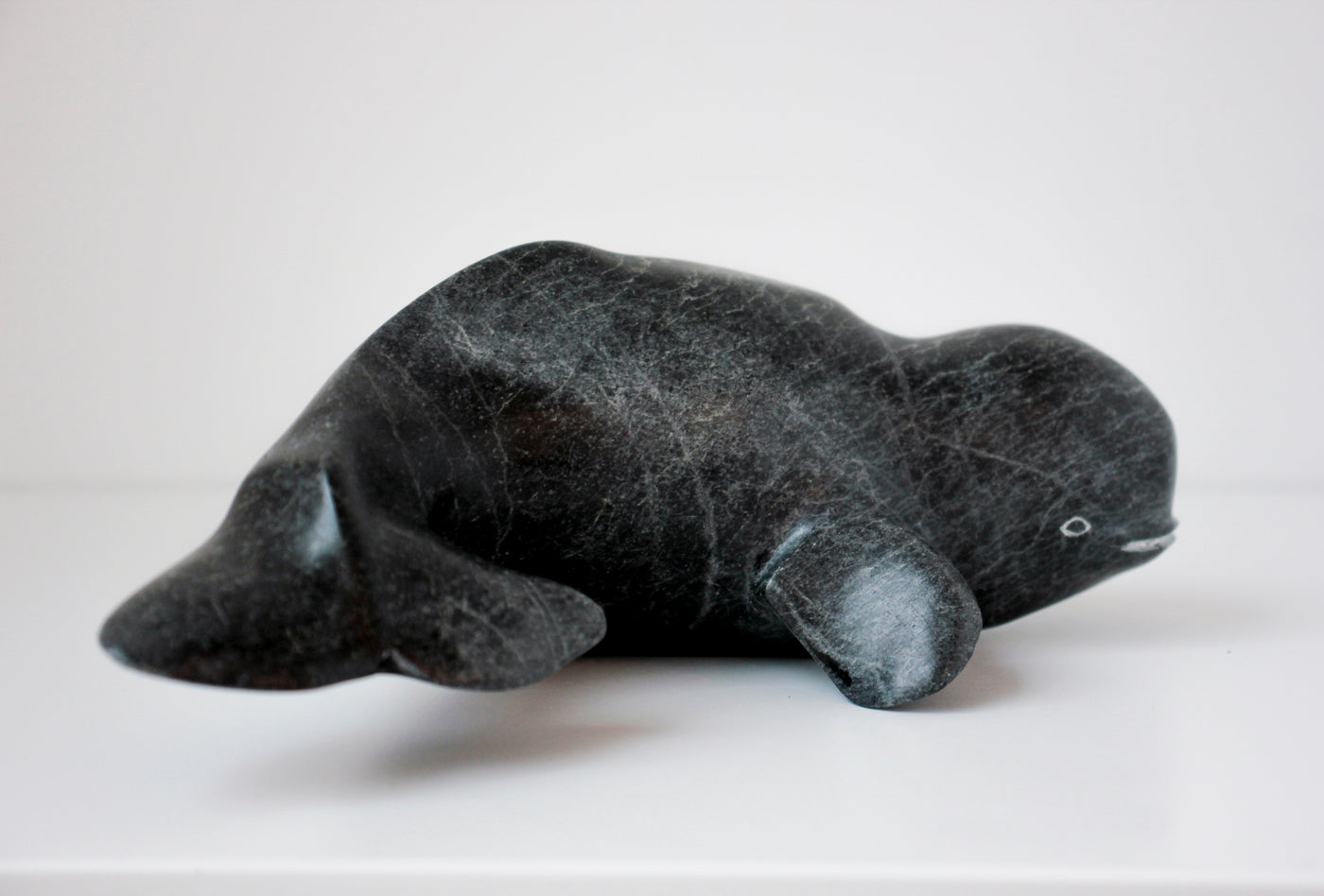 Sans Titre (Beluga)
