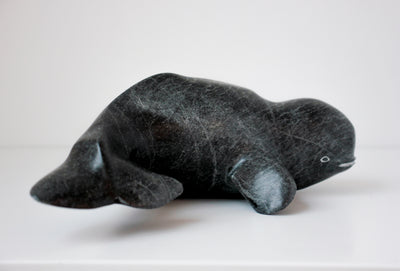 Sans Titre (Beluga)