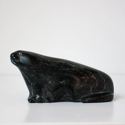 Sans Titre (Little seal)