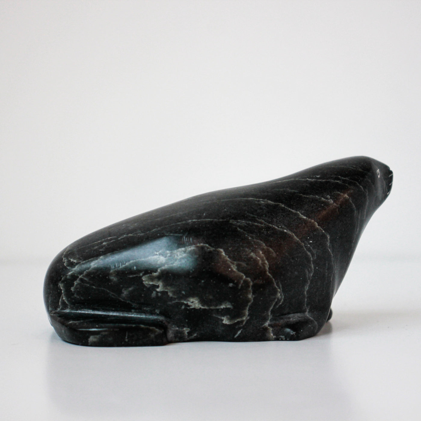 Sans Titre (Little seal)
