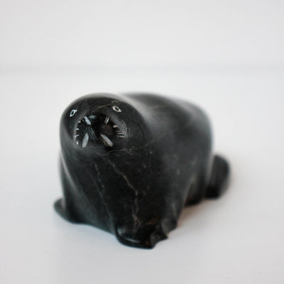 Sans Titre (Little seal)