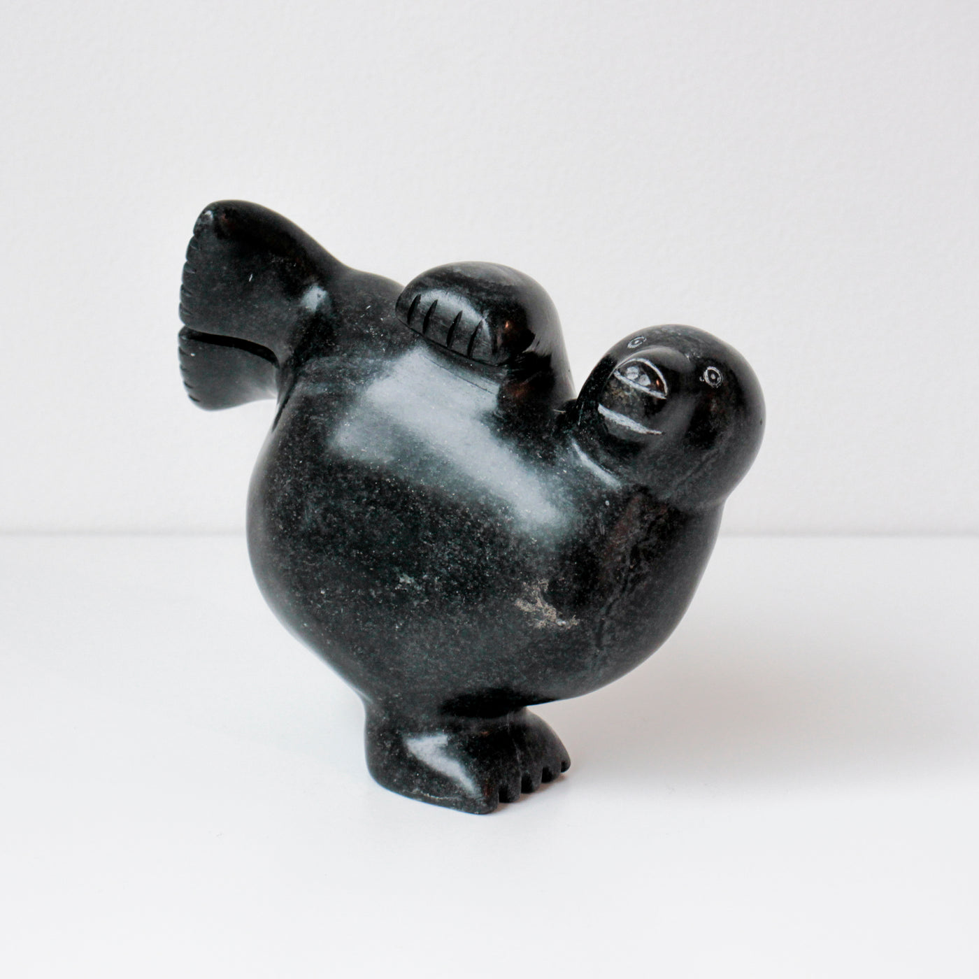 Sans Titre (Seal on its flipper)