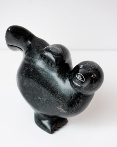 Sans Titre (Seal on its flipper)