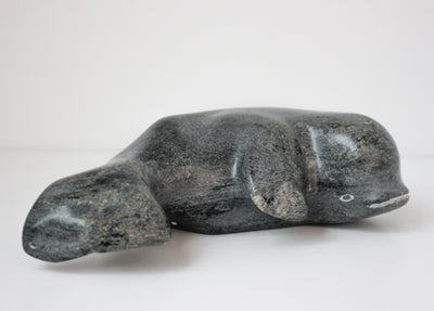 Sans Titre (Beluga whale)