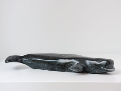 Sans Titre (Beluga)