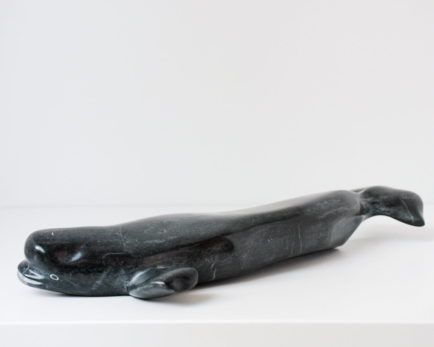 Sans Titre (Beluga)