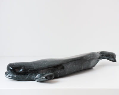 Sans Titre (Beluga)