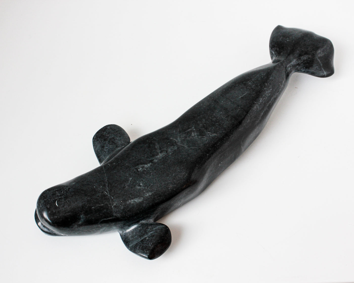Sans Titre (Beluga)