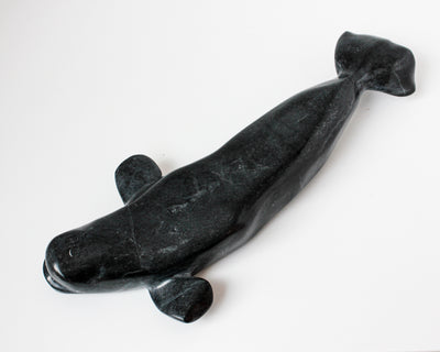 Sans Titre (Beluga)