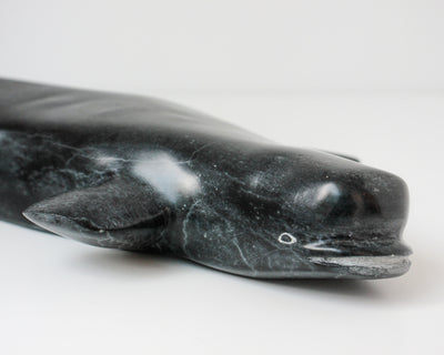 Sans Titre (Beluga)