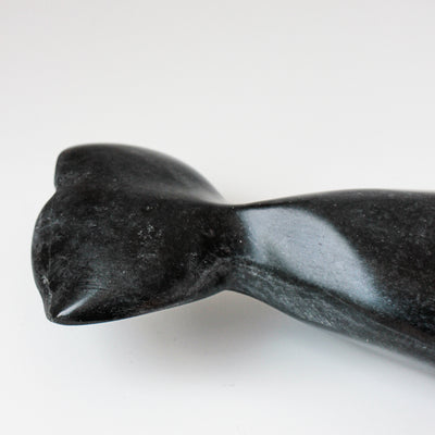 Sans Titre (Beluga)