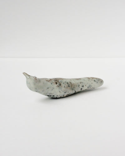 Slug 1 (Spring 2025)