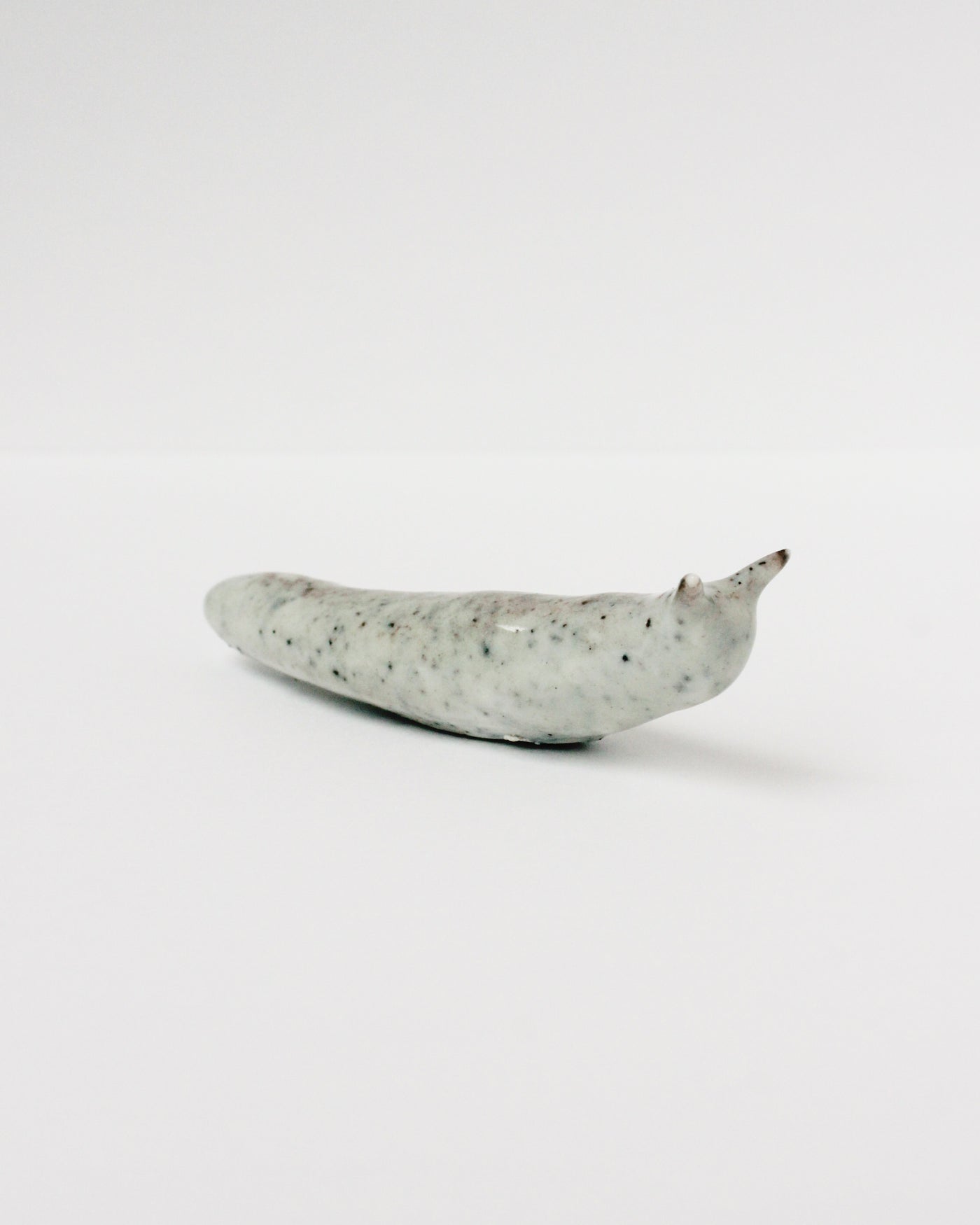 Slug 1 (Spring 2025)