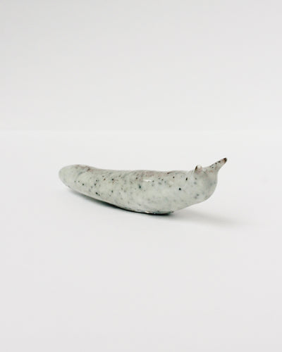 Slug 1 (Spring 2025)