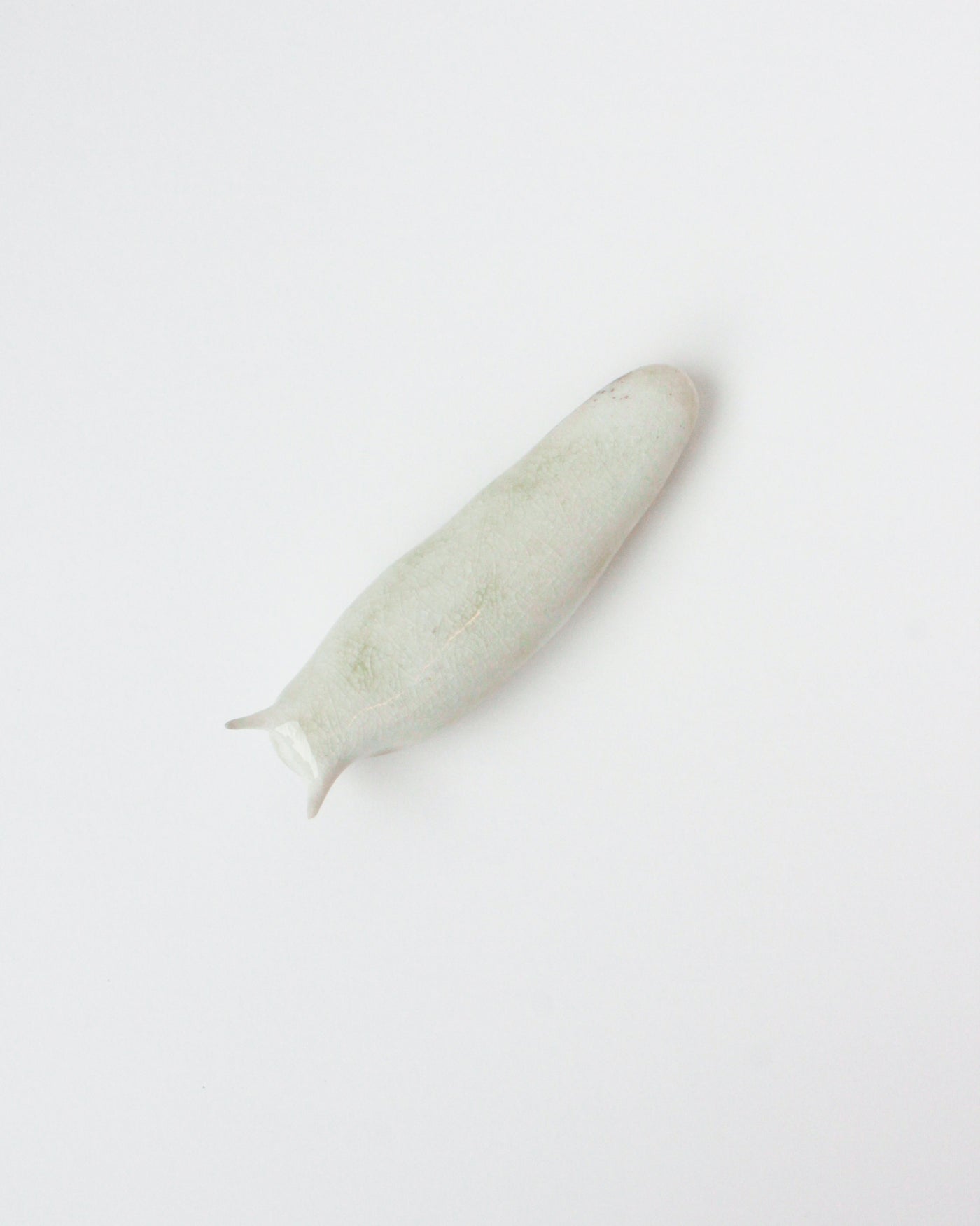 Slug 4 (Spring 2025)