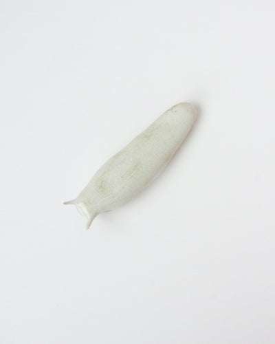 Slug 4 (Spring 2025)
