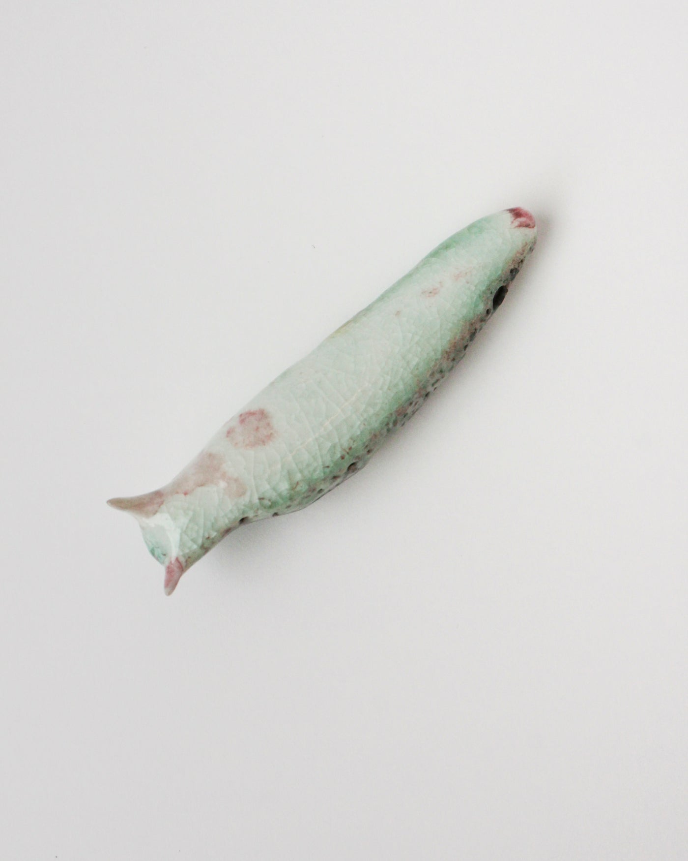 Slug 7 (Spring 2025)
