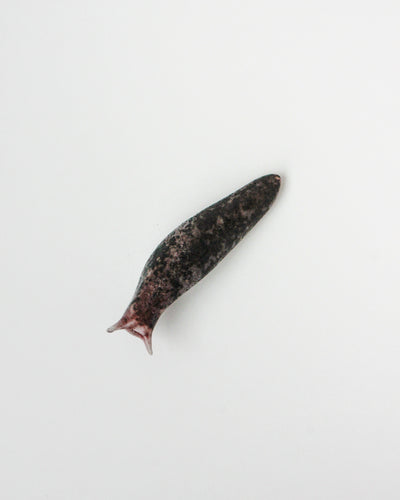 Slug 8 (Spring 2025)