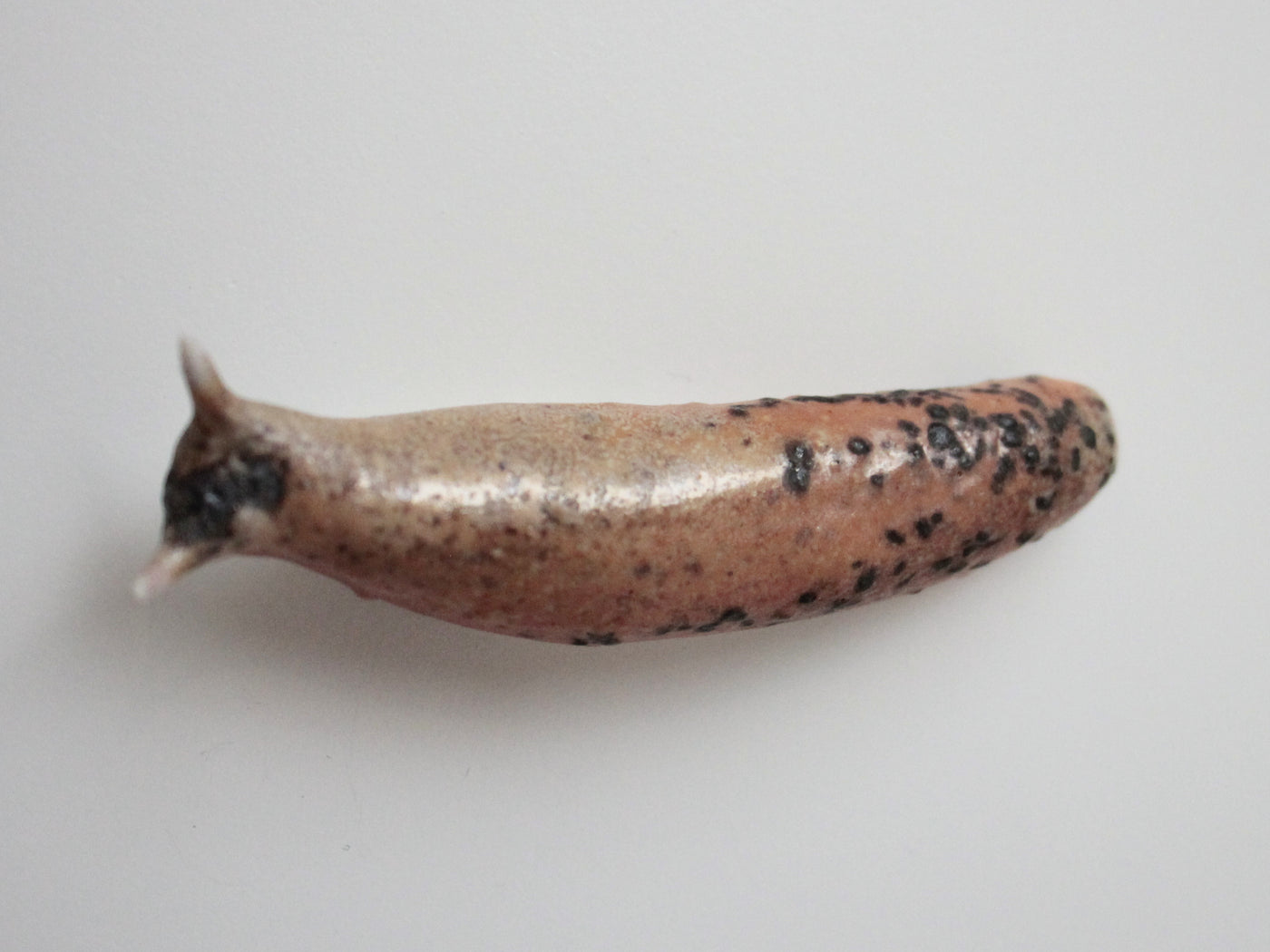 Slug 13 (Salt 2025)
