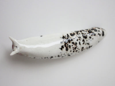 Slug 8 (Salt 2025)
