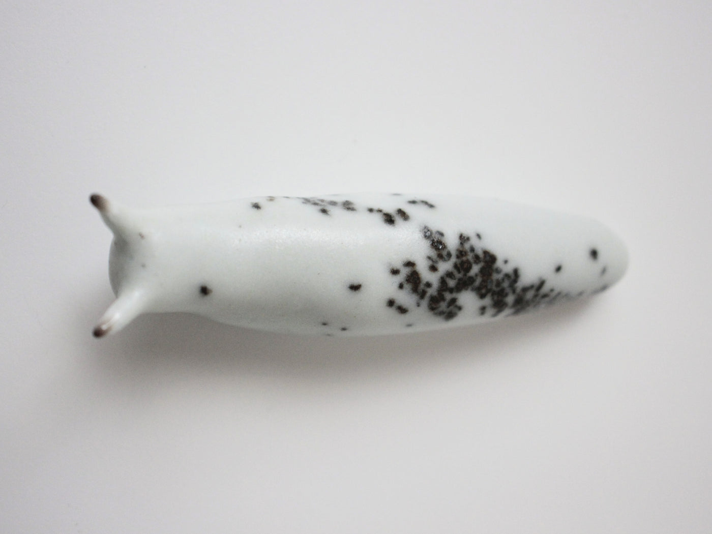 Slug 3 (Salt 2025)