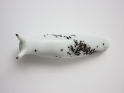 Slug 3 (Salt 2025)