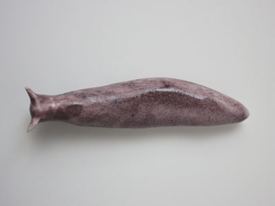 Slug 1 (Salt 2025)