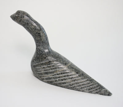 Sans Titre (Bird)