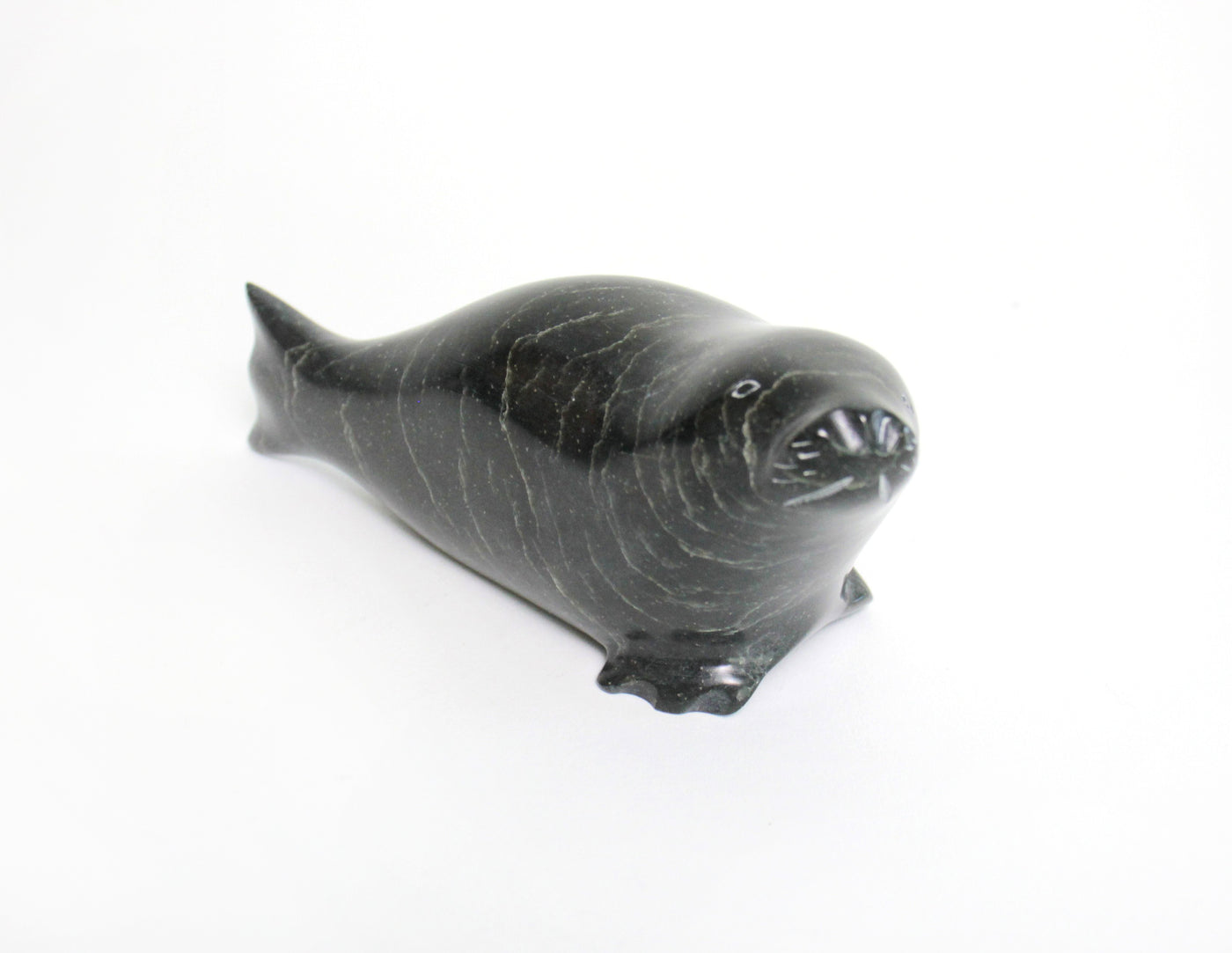 Sans Titre (Walrus)