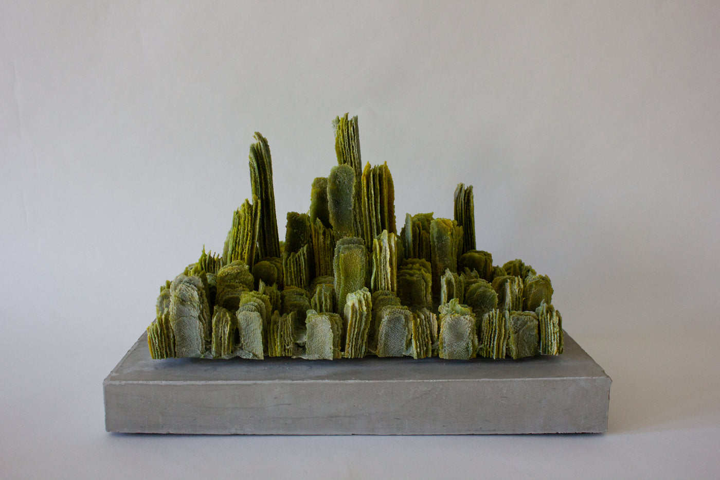 Growing, 2019 - La Guilde