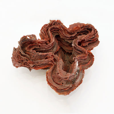 Sculpture en pâte de verre couleur grenat par l'artiste verrière Cheryl Wilson Smith