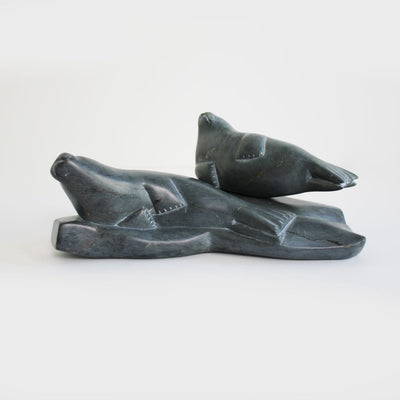 Two Seals Laying