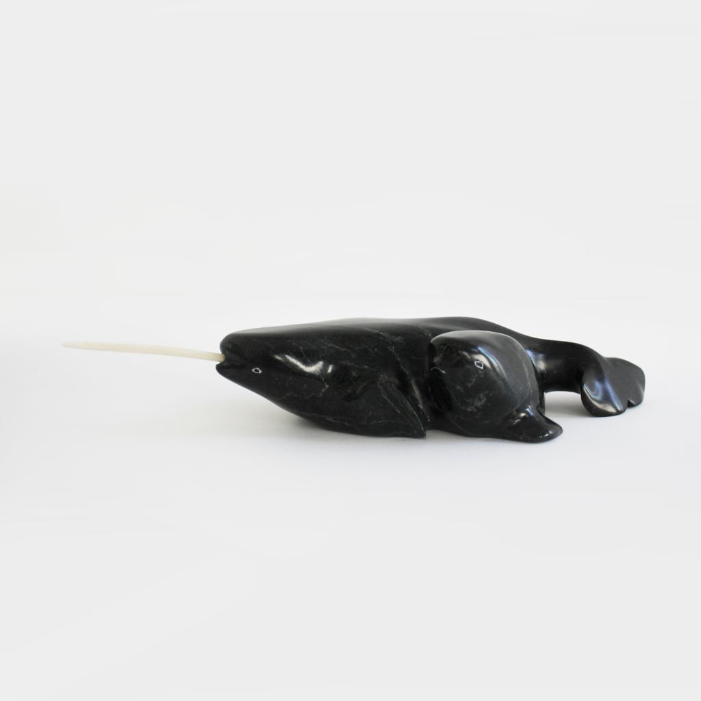 Narwhal and Calf