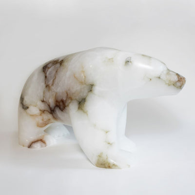 A Real or Fantasy Bear