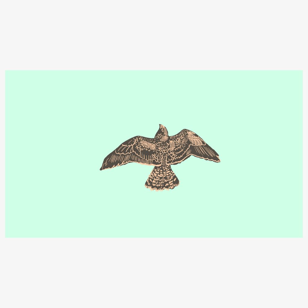 Homing Falcon, Ed. 2/10