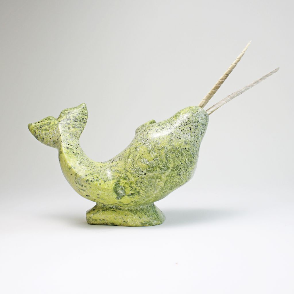 Narwhal