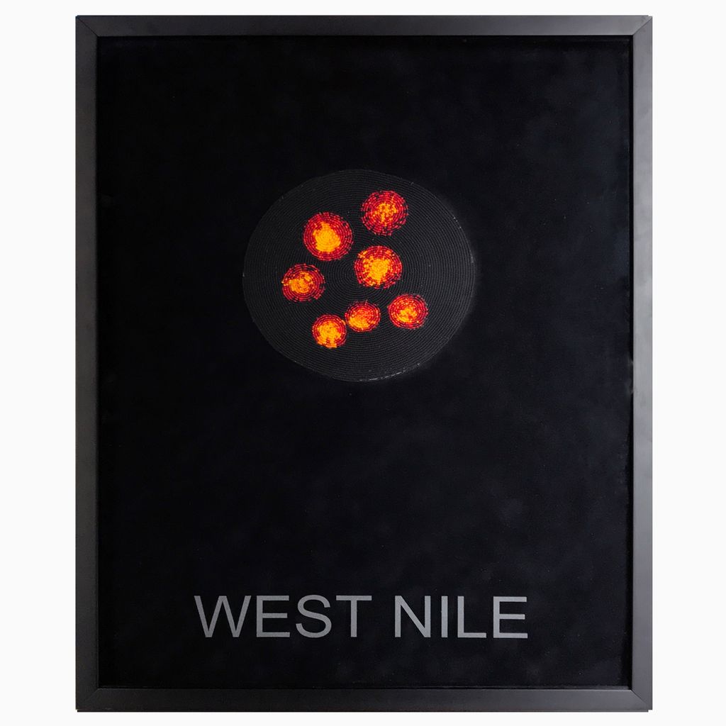 "Surviving: West Nile"