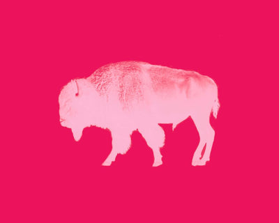 Buffalo, ed. 5/10