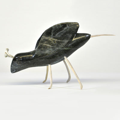 Insect, 2019 - La Guilde