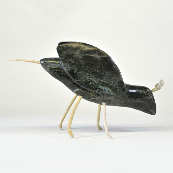Insect, 2019 - La Guilde
