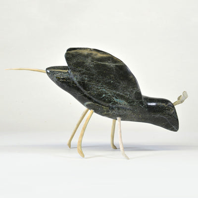 Insect, 2019 - La Guilde