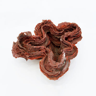 Petite Garnet Airc