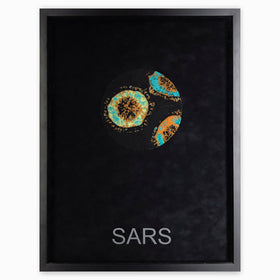 Surviving: SARS